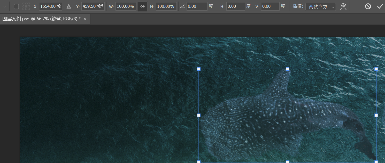 图层的自由变换选项框